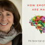 '감정은 어떻게 만들어지는가' 리사 펠드만 바렛(Lisa Feldman Barrett) TED 강연 - You aren't at the mercy of your emotions - your brain creates them