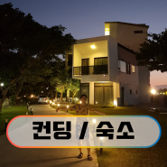 대만의 제주도 컨딩/ 가오슝에서 컨딩가는법/컨딩 식당&디저트/ 컨딩 분위기 좋은 숙소 (대만 8박9일 2일차)