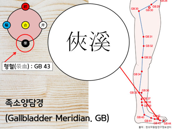 하루 5분 오수혈 족소양담경(#02)_협계_Gallbladder Meridian point_GB43(#02) : 네이버 블로그