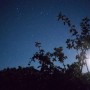 캘리포니아 캠핑 - 밤하늘 촬영 도전!