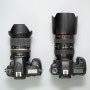 DSLR 카메라 입문용 풀프레임 니콘 VS 캐논, 당신의 선택은?