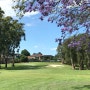 Massey Park Golf Course- 호주 시드니