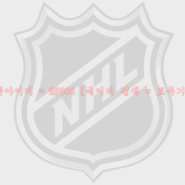 NHL 아이스하키 11월 11일 전경기 해외 프리뷰 번역 Tips 참고글 분석픽