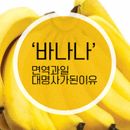 바나나가 면역과일의 대명사가된이유는?