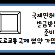 국제면허증 발급방법, 준비물, 도로교통 국제 협약 가입국