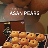 ASAN PEAR catalogue - food trade exports (농식품수출센터)