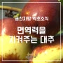 금산약초 면역력을 지켜주는 대추