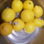 껍질깐 레몬으로 레몬청 만들기