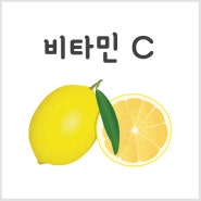 비타민 C :: 효능 / 결핍 증상 / 부작용 / 많은 음식