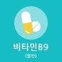 비타민 B9(엽산) :: 효능 / 결핍 증상 / 부작용 / 많은 음식