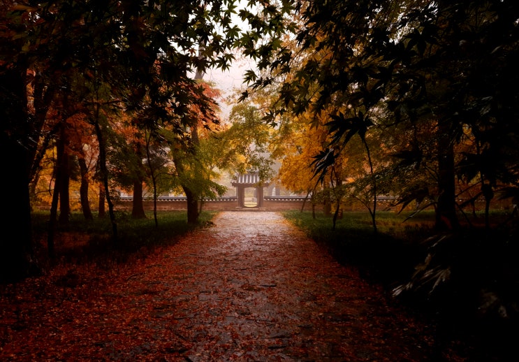 가을을 상징하는 낙엽 영어로 표현하면? : 네이버 블로그
