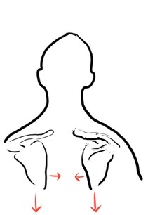 [잘못된 몸의 패턴을 바꾸자 시리즈③]scapula setting(견갑골 세팅)운동 : 네이버 블로그