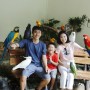 아이와 함께가기좋은 새공원 (kl bird park), 쿠알라룸푸르
