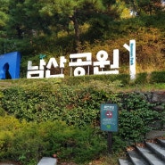 늦은 가을 남산공원