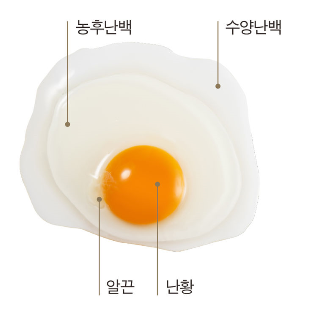 1등급 유정란, 바로란 : 네이버 블로그