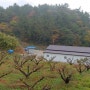 산이네매실농원 깊어가는 가을풍경을 그립니다.