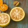 비타민C가 풍부한 유자청 만드는법