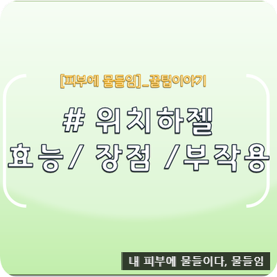위치하젤 효능과 장점 그리고 부작용까지 : 네이버 블로그