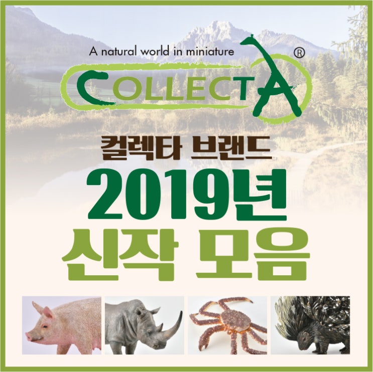 2019년 컬렉타 Collecta 신제품 소식 : 네이버 블로그