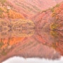 호수에 잠긴 가을을 만나는곳 - 주산지의 가을