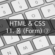 HTML & CSS : 11. 폼 (Form) ③