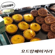 제주 빵집 추천/제주 맛있는 빵집/제주 빵집/함덕 빵집/제주 오드랑베이커리