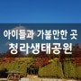 인천 나들이 청라생태공원 가봅시다