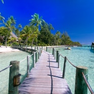 #23 보라보라섬 자유여행, 펄비치 리조트에서 빈둥빈둥