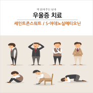 우울증치료 - 세인트존스워트 / S-아데노실메티오닌