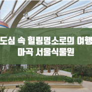 마곡 '서울식물원' 탐방기! 도심 속 힐링 명소로 떠나는 여행
