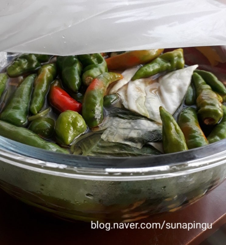 장아찌만들기, 야채장아찌, 양배추, 깻잎, 매운고추 퐁당퐁당 : 네이버 블로그
