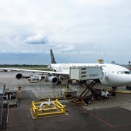 [LH479] 몬트리올 P.E. 트루도 (YUL) - 프랑크푸르트 암 마인 (FRA) 루프트한자 A340-300 탑승기