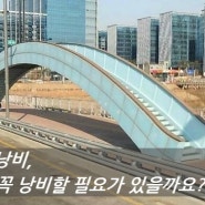 제제파파 인슈- 왜, 당신은 돈 더내고, 보험금 적게 받으려고 애 쓰는가?