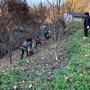 181103 와이프 중학 동창들의 감 수확