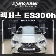 렉서스 ES300h도 나노퓨전PPF로 지켜줘야죠 ^^