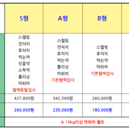 12월 스켈링 이벤트