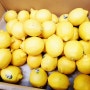 🍋말린 레몬 만들기🍋
