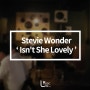 Stevie Wonder - Isn't She Lovely (Cover)(가사/해석/번역)