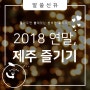 [12월 연말 제주여행] 제주 연말 핫플레이스! 축제 및 가볼 만한 곳