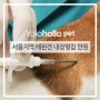 [뉴스소식]서울시, 애완견 내장형 칩 지원/만원 마이크로칩 삽입을 통한 반려동물등록제