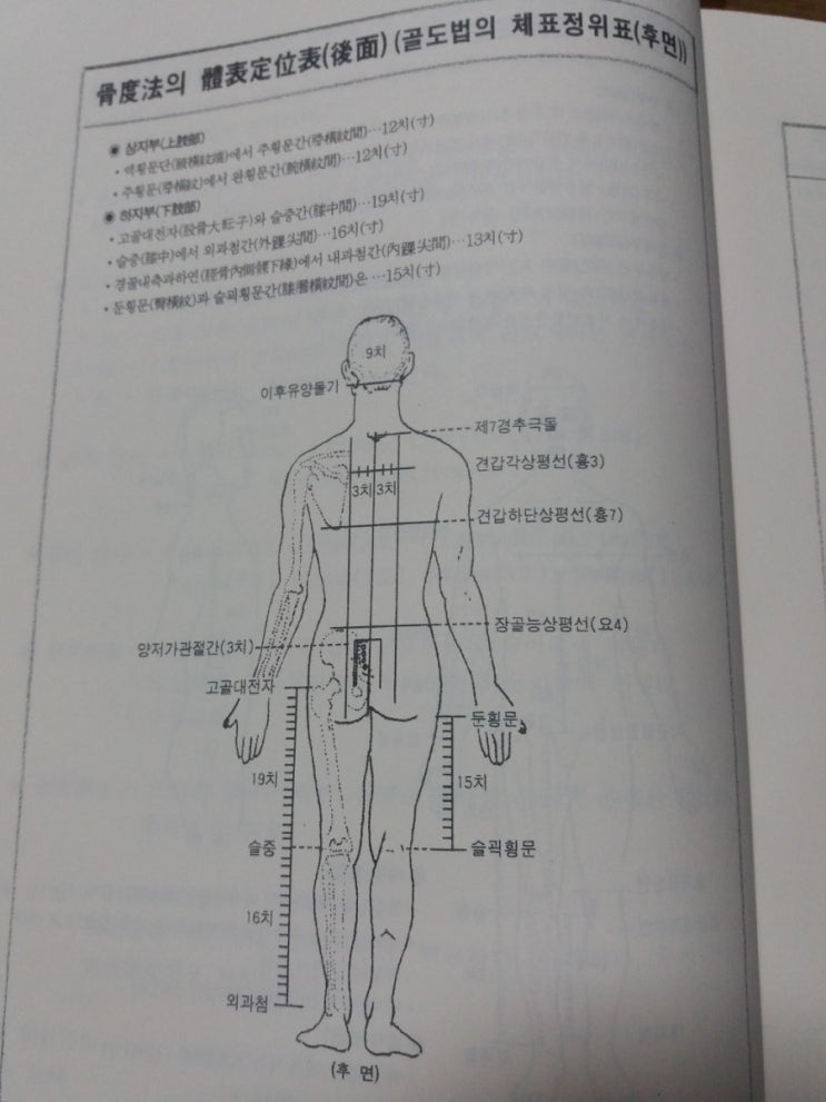 경혈2 : 네이버 블로그
