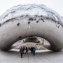 Chicago - Art institute of Chicago, Millenium park, Magnificent mile