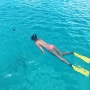 [아프리카여행 40일차]탄자니아 잔지바르 능귀(Nungwi) 멤바섬(Mnemba Island)에서 스노쿨링, 믿을 수 없는 파라다이스!