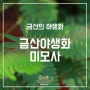 금산야생화 미모사 효능