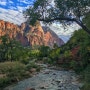 [Travel] Zion National Park / 미국 서부 자이언 캐니언 / 캐니언 투어