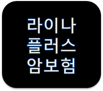 라이나생명 (무)플러스암보험(갱신형) 주요특약 및 보장내용 분석
