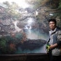 중국여행:장가계