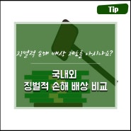 국내외 징벌적 손해 배상 비교