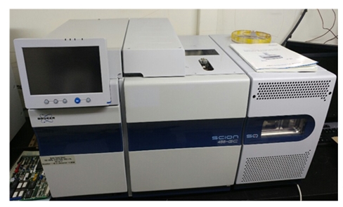 Bruker GC-MS SCION SG 456 : 네이버 블로그