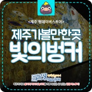 [도르멍 버스투어] 12월 제주 여행 "빛의 벙커"